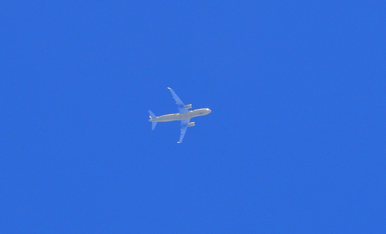 Spirit Airlines flies over Fairhope APR 17th 2026