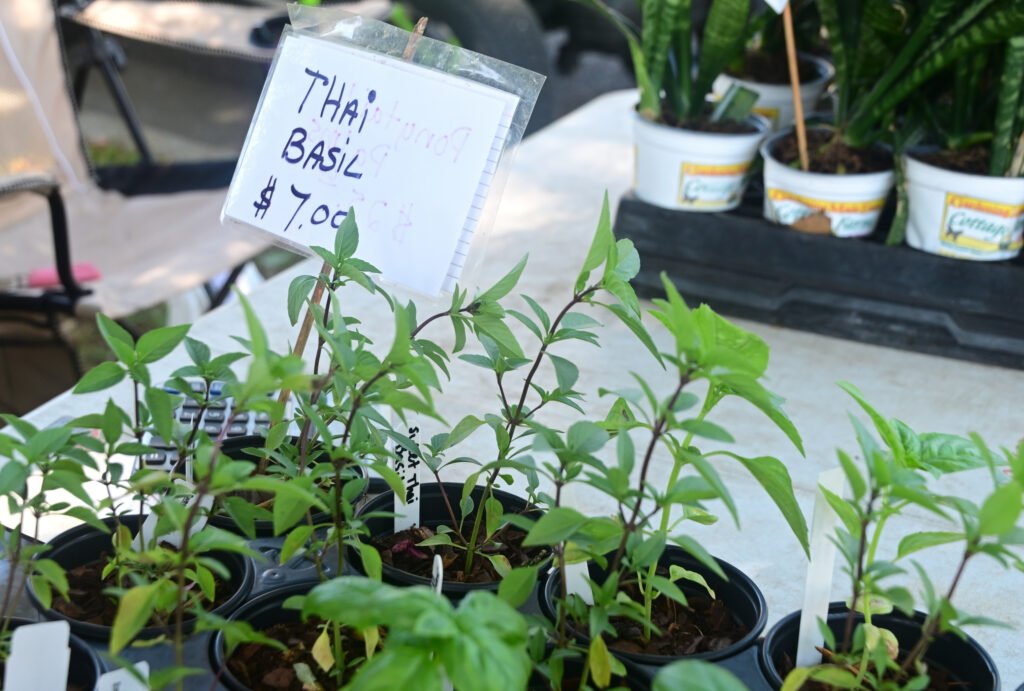 Fairhope Farmer's Market