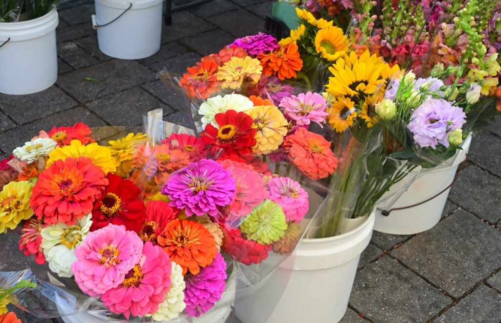Fairhope Farmer's Market