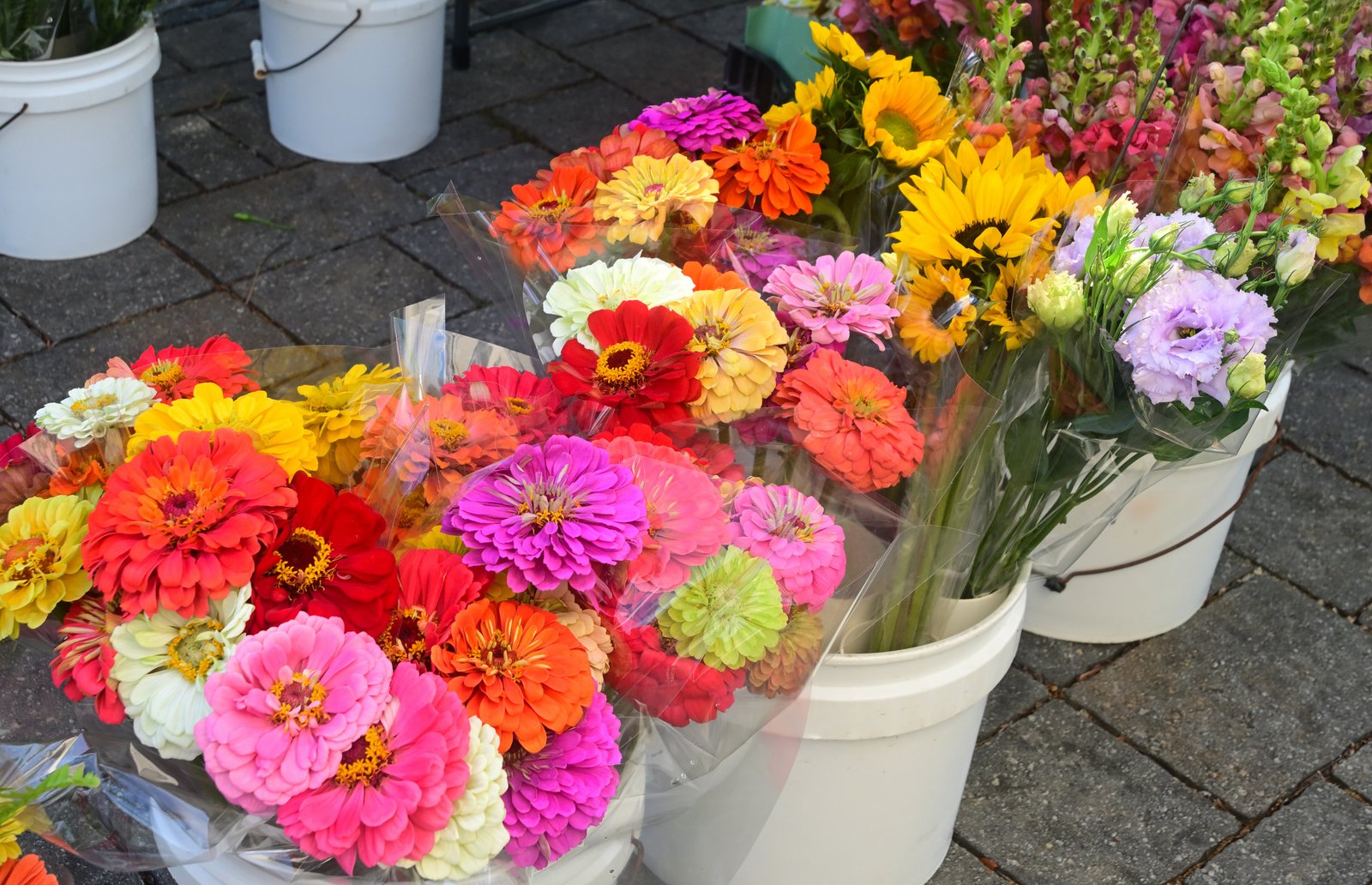 Fairhope Farmer's Market