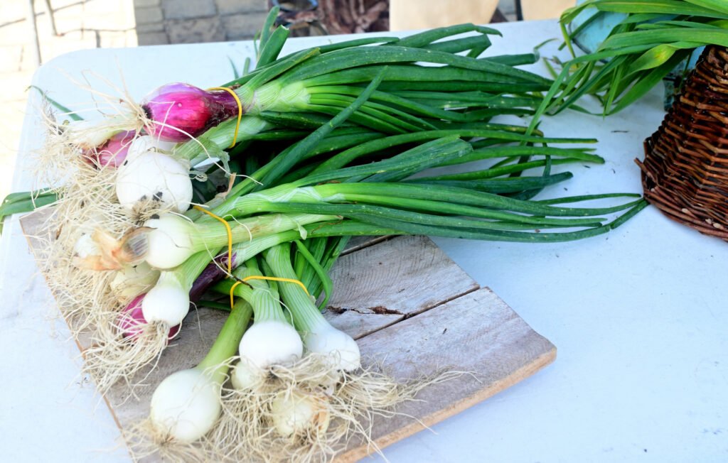 Fairhope Farmer's Market