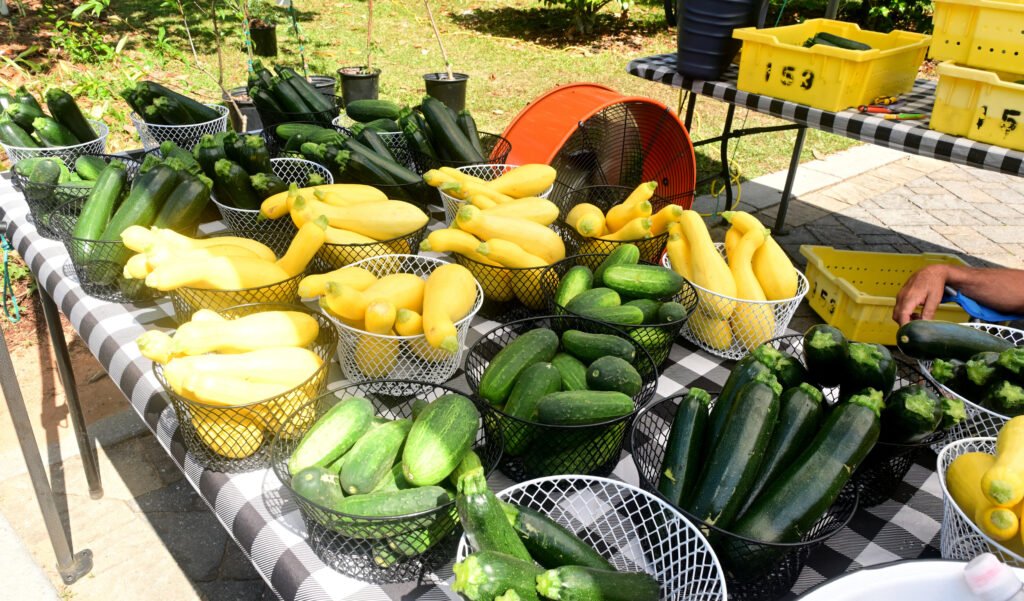 Fairhope Farmer's Market