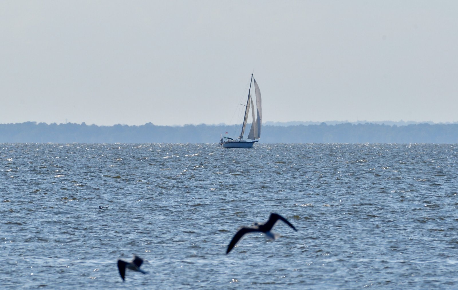 Fairhope, Alabama MAY 10 2026