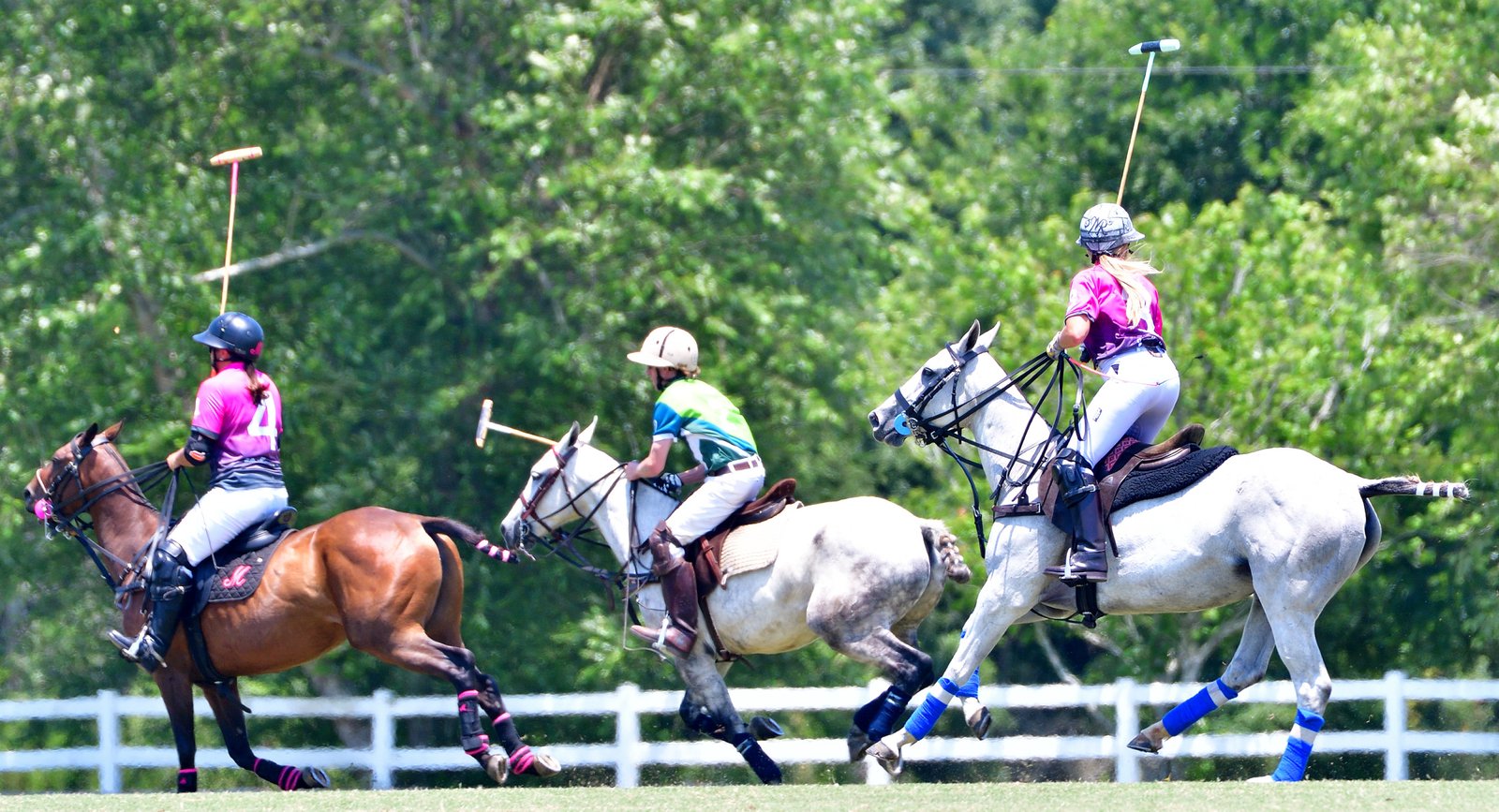 Polo in Fairhope, Alabama