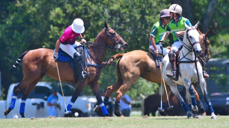 Polo in Fairhope, Alabama
