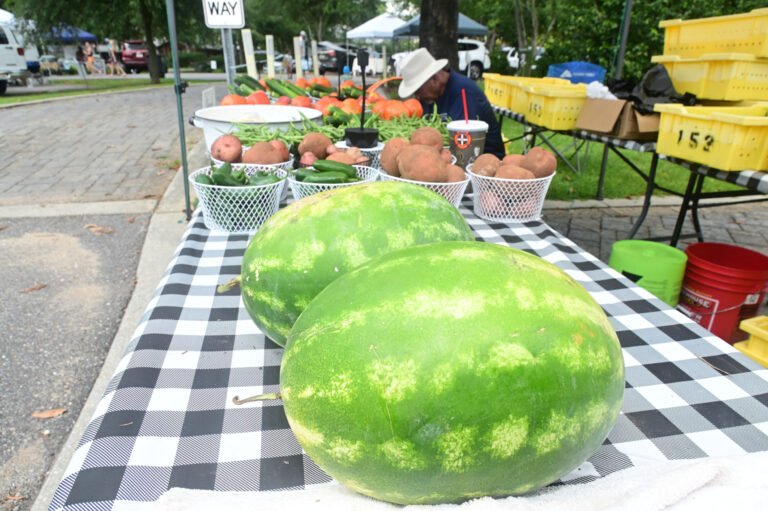 Fairhope Farmer's Market