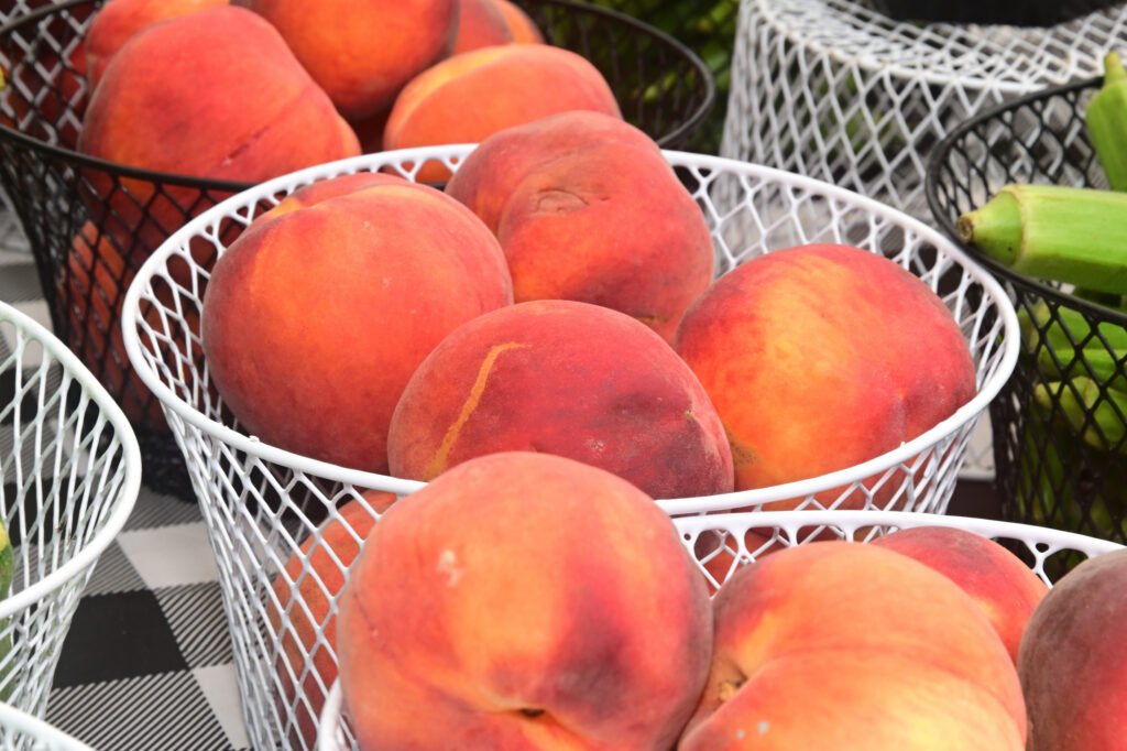Fairhope Farmer's Market