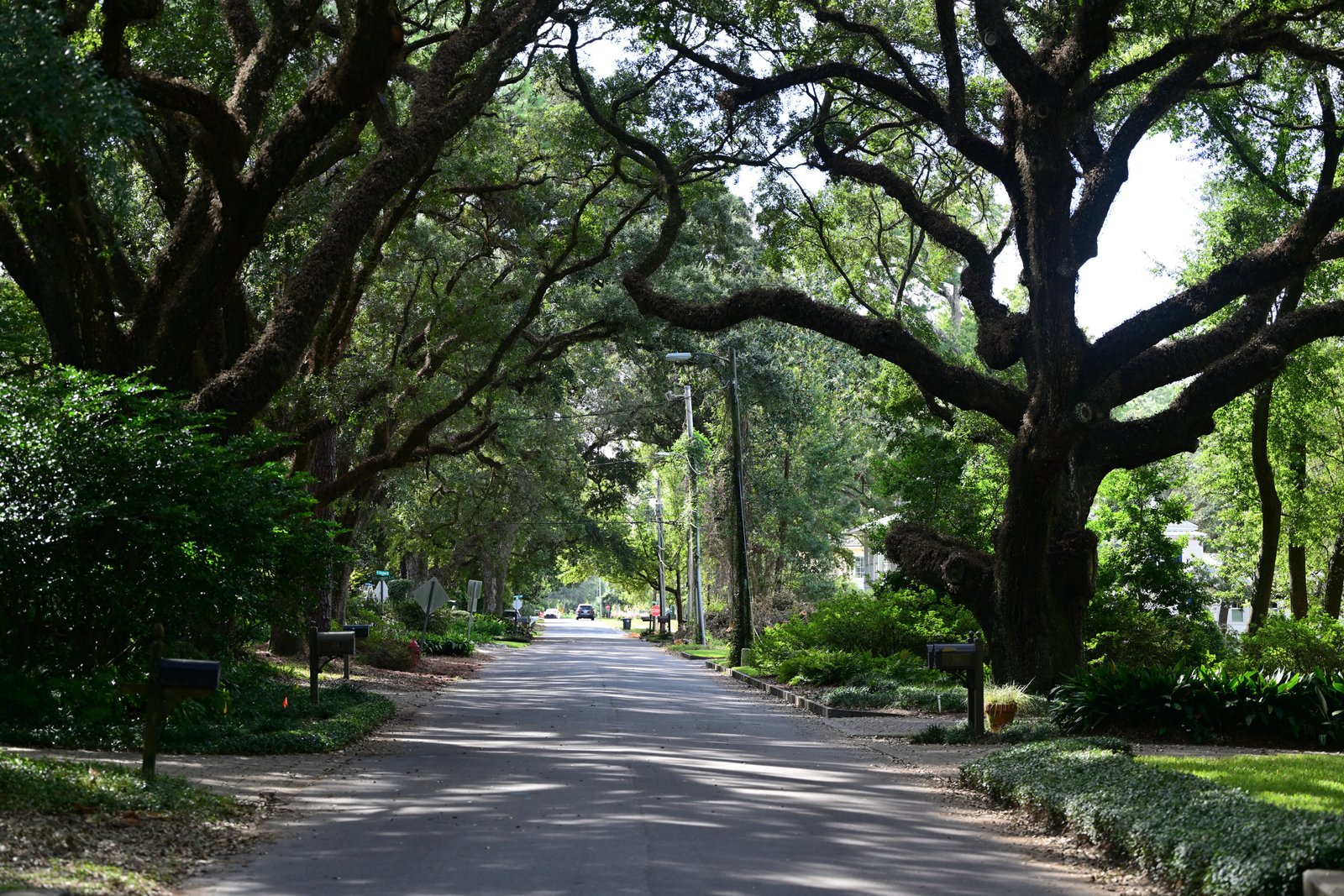 Fairhope, Alabama